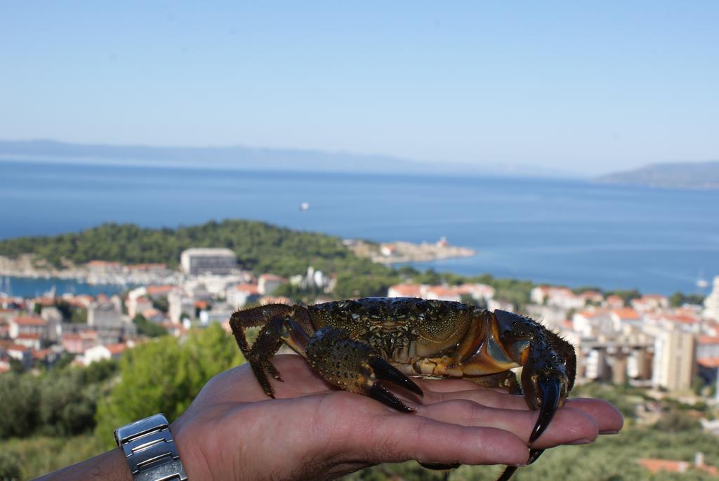 Villa Tonka Makarska Pokój zdjęcie